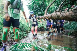 BIB: 
                            <button type="button" onclick="openModal(25472190)" class="btn btn-primary btn-sm float-right btn-popup" data-toggle="modal" data-target=".modal-high-quality">
                        <i class="fas fa-shopping-cart"></i> Add to Cart
                    </button>
                                            <button type="button" onclick="isThisMe(25472190, true)" class="btn btn-success btn-sm float-right btn-popup btn-isme hidden" data-toggle="tooltip" data-placement="bottom" title="นี่คือรูปของคุณใช่ไหม คลิกที่นี่เพื่อเอาเข้าอัลบั้ม">
                        <i class="fas fa-plus"></i> Add to album
                    </button>
                    <button type="button" onclick="isThisMe(25472190, false)" class="btn btn-warning btn-sm float-right btn-popup btn-isnotme hidden">
                        <i class="fas fa-ban"></i> Remove from album
                    </button>